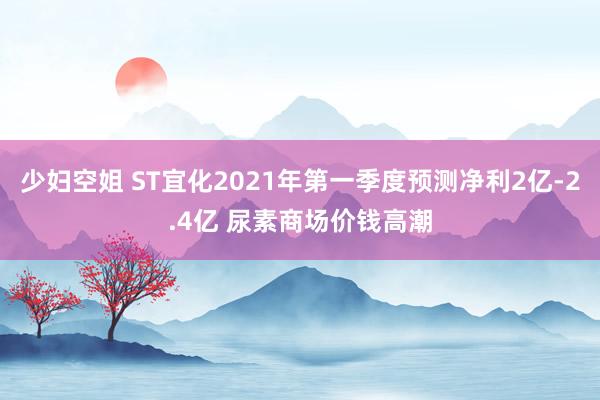 少妇空姐 ST宜化2021年第一季度预测净利2亿-2.4亿 尿素商场价钱高潮