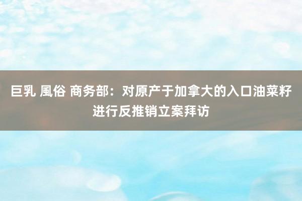 巨乳 風俗 商务部：对原产于加拿大的入口油菜籽进行反推销立案拜访