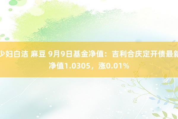 少妇白洁 麻豆 9月9日基金净值：吉利合庆定开债最新净值1.0305，涨0.01%