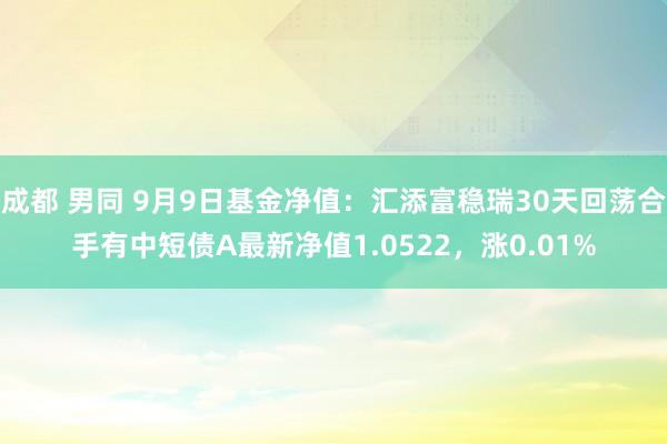 成都 男同 9月9日基金净值：汇添富稳瑞30天回荡合手有中短债A最新净值1.0522，涨0.01%