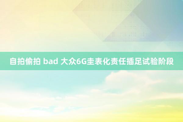 自拍偷拍 bad 大众6G圭表化责任插足试验阶段