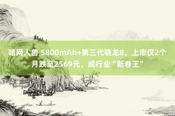 暗网人兽 5800mAh+第三代骁龙8，上市仅2个月跌至2569元，成行业“新卷王”