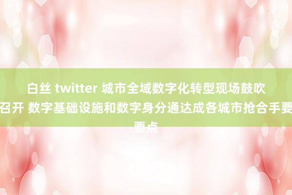 白丝 twitter 城市全域数字化转型现场鼓吹会召开 数字基础设施和数字身分通达成各城市抢合手要点