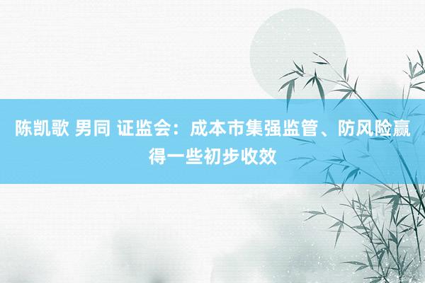 陈凯歌 男同 证监会：成本市集强监管、防风险赢得一些初步收效