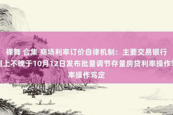 裸舞 合集 商场利率订价自律机制：主要交易银行原则上不晚于10月12日发布批量调节存量房贷利率操作笃定