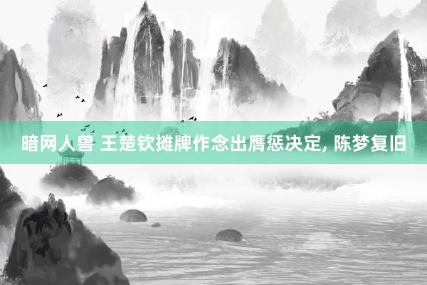 暗网人兽 王楚钦摊牌作念出膺惩决定, 陈梦复旧