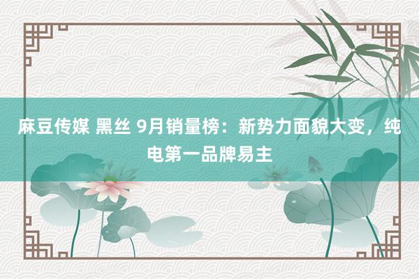 麻豆传媒 黑丝 9月销量榜：新势力面貌大变，纯电第一品牌易主