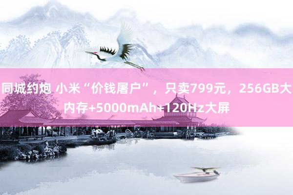 同城约炮 小米“价钱屠户”，只卖799元，256GB大内存+5000mAh+120Hz大屏