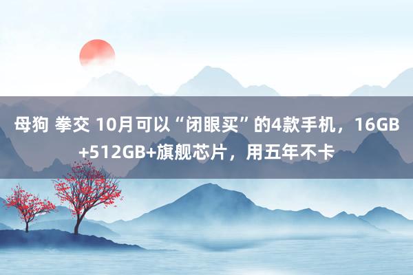 母狗 拳交 10月可以“闭眼买”的4款手机，16GB+512GB+旗舰芯片，用五年不卡