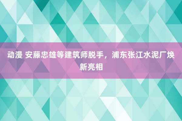 动漫 安藤忠雄等建筑师脱手，浦东张江水泥厂焕新亮相