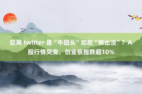 巨屌 twitter 是“牛回头”如故“熊出没”？A股行情突变，创业板指跌超10%