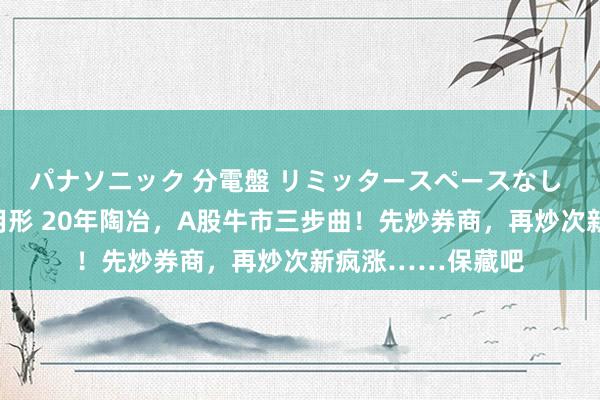 パナソニック 分電盤 リミッタースペースなし 露出・半埋込両用形 20年陶冶，A股牛市三步曲！先炒券商，再炒次新疯涨……保藏吧