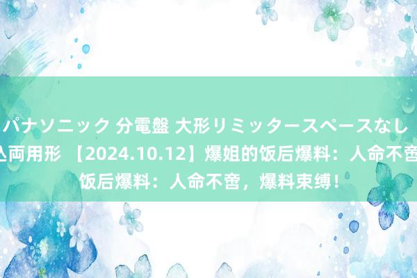 パナソニック 分電盤 大形リミッタースペースなし 露出・半埋込両用形 【2024.10.12】爆姐的饭后爆料：人命不啻，爆料束缚！