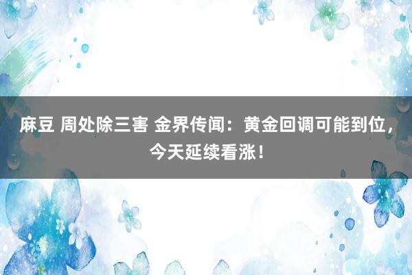 麻豆 周处除三害 金界传闻：黄金回调可能到位，今天延续看涨！