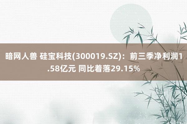 暗网人兽 硅宝科技(300019.SZ)：前三季净利润1.58亿元 同比着落29.15%