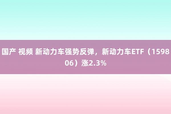 国产 视频 新动力车强势反弹，新动力车ETF（159806）涨2.3%