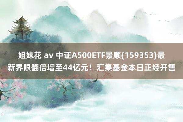 姐妹花 av 中证A500ETF景顺(159353)最新界限翻倍增至44亿元！汇集基金本日正经开售