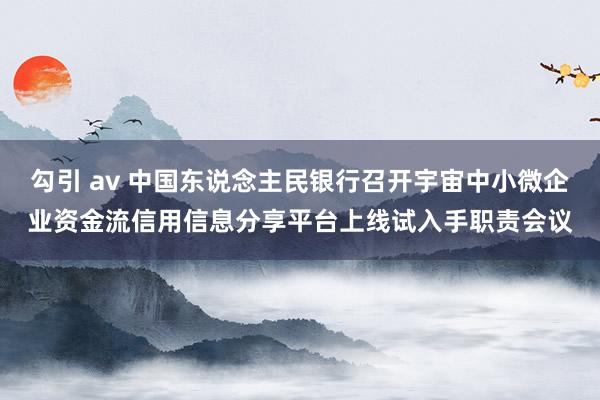 勾引 av 中国东说念主民银行召开宇宙中小微企业资金流信用信息分享平台上线试入手职责会议