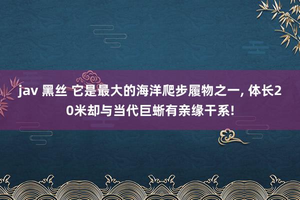 jav 黑丝 它是最大的海洋爬步履物之一, 体长20米却与当代巨蜥有亲缘干系!