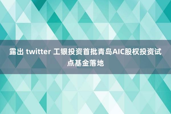 露出 twitter 工银投资首批青岛AIC股权投资试点基金落地