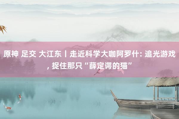 原神 足交 大江东丨走近科学大咖阿罗什: 追光游戏， 捉住那只“薛定谔的猫”