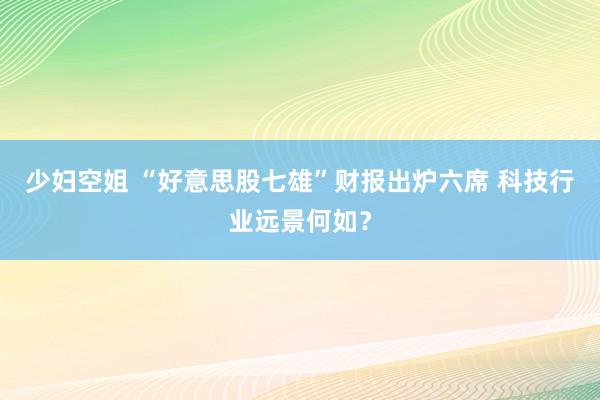 少妇空姐 “好意思股七雄”财报出炉六席 科技行业远景何如？