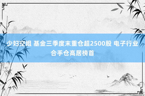 少妇空姐 基金三季度末重仓超2500股 电子行业合手仓高居榜首