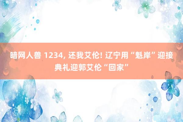 暗网人兽 1234, 还我艾伦! 辽宁用“魁岸”迎接典礼迎郭艾伦“回家”