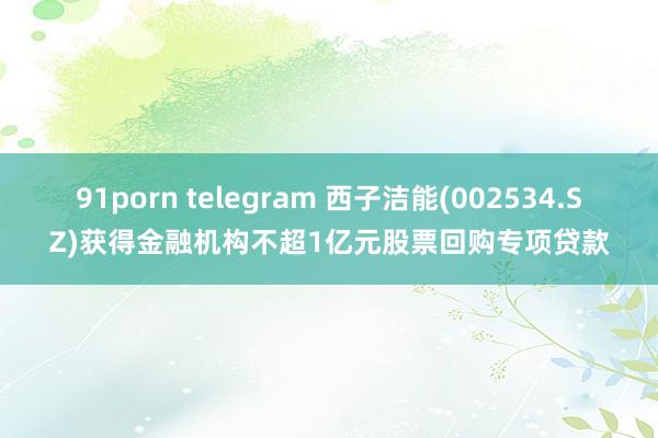 91porn telegram 西子洁能(002534.SZ)获得金融机构不超1亿元股票回购专项贷款