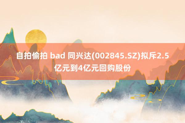 自拍偷拍 bad 同兴达(002845.SZ)拟斥2.5亿元到4亿元回购股份