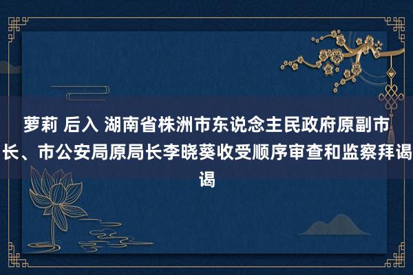 萝莉 后入 湖南省株洲市东说念主民政府原副市长、市公安局原局长李晓葵收受顺序审查和监察拜谒