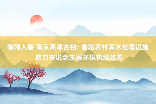 暗网人兽 南京高淳古柏: 查验农村浑水处理设施 助力东说念主居环境执续改善