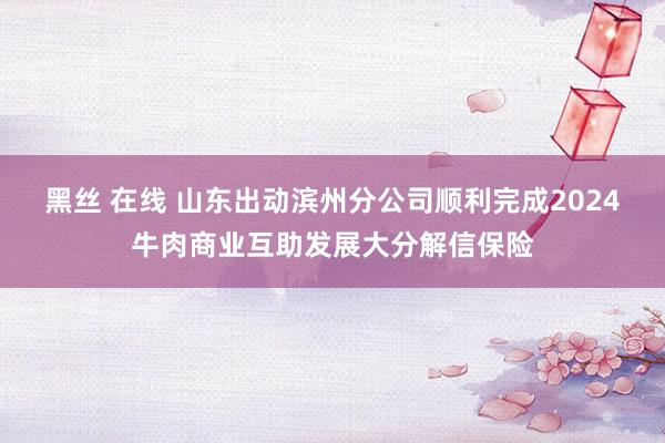 黑丝 在线 山东出动滨州分公司顺利完成2024牛肉商业互助发展大分解信保险