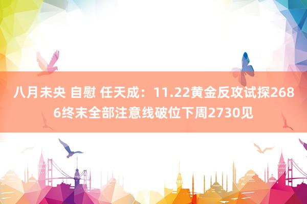 八月未央 自慰 任天成：11.22黄金反攻试探2686终末全部注意线破位下周2730见