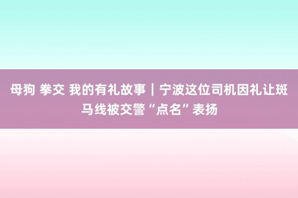 母狗 拳交 我的有礼故事｜宁波这位司机因礼让斑马线被交警“点名”表扬