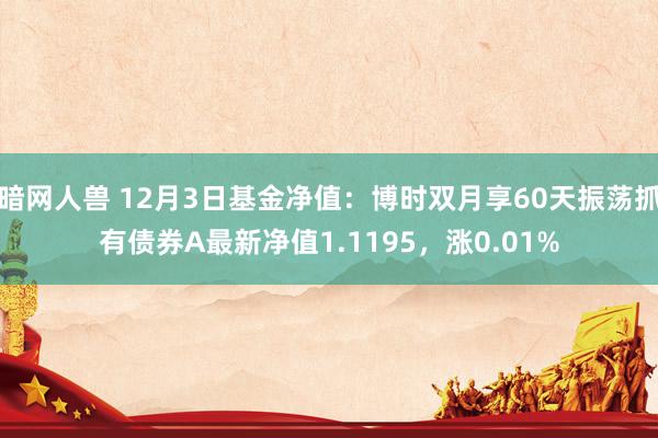 暗网人兽 12月3日基金净值：博时双月享60天振荡抓有债券A最新净值1.1195，涨0.01%