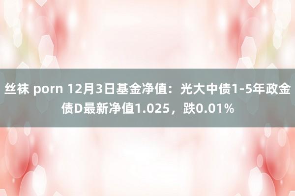 丝袜 porn 12月3日基金净值：光大中债1-5年政金债D最新净值1.025，跌0.01%