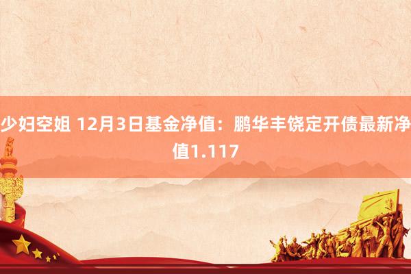 少妇空姐 12月3日基金净值：鹏华丰饶定开债最新净值1.117