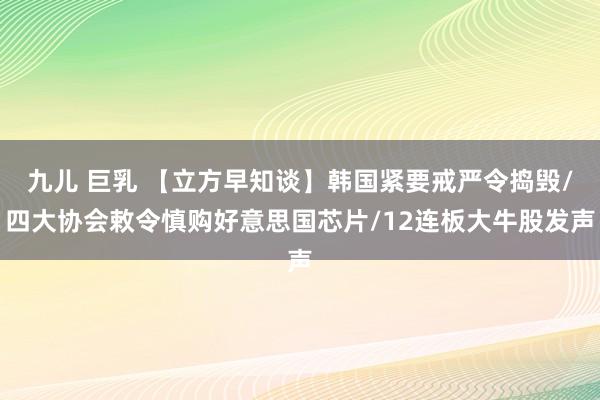 九儿 巨乳 【立方早知谈】韩国紧要戒严令捣毁/四大协会敕令慎购好意思国芯片/12连板大牛股发声