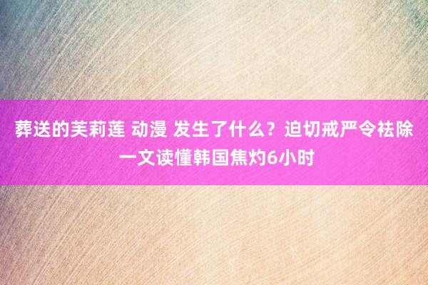 葬送的芙莉莲 动漫 发生了什么？迫切戒严令袪除 一文读懂韩国焦灼6小时