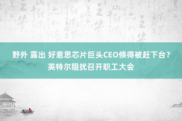 野外 露出 好意思芯片巨头CEO倏得被赶下台？英特尔阻扰召开职工大会