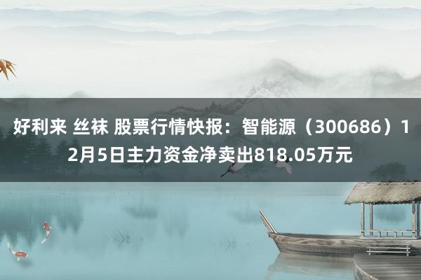 好利来 丝袜 股票行情快报：智能源（300686）12月5日主力资金净卖出818.05万元