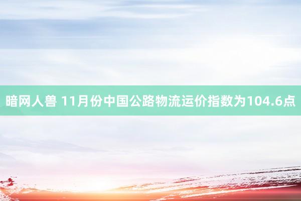 暗网人兽 11月份中国公路物流运价指数为104.6点