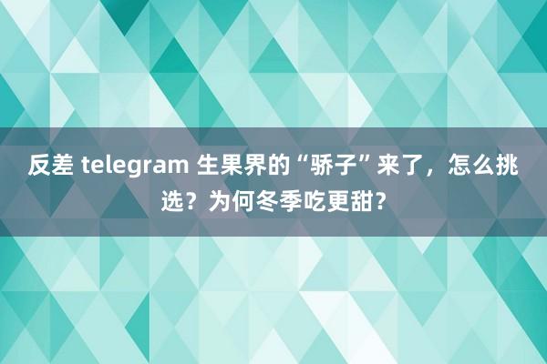 反差 telegram 生果界的“骄子”来了，怎么挑选？为何冬季吃更甜？