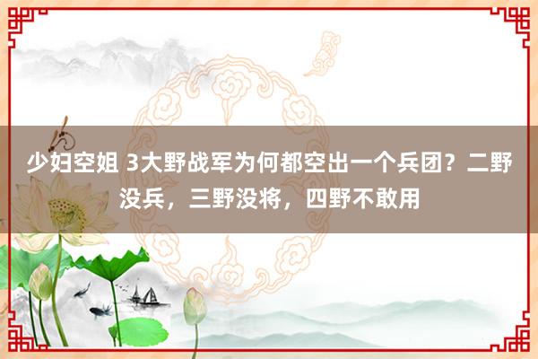 少妇空姐 3大野战军为何都空出一个兵团？二野没兵，三野没将，四野不敢用