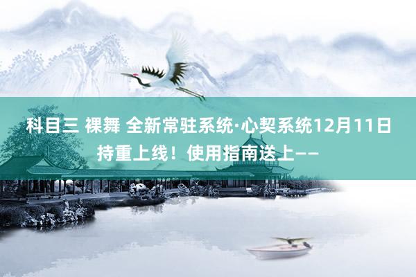 科目三 裸舞 全新常驻系统·心契系统12月11日持重上线！使用指南送上——