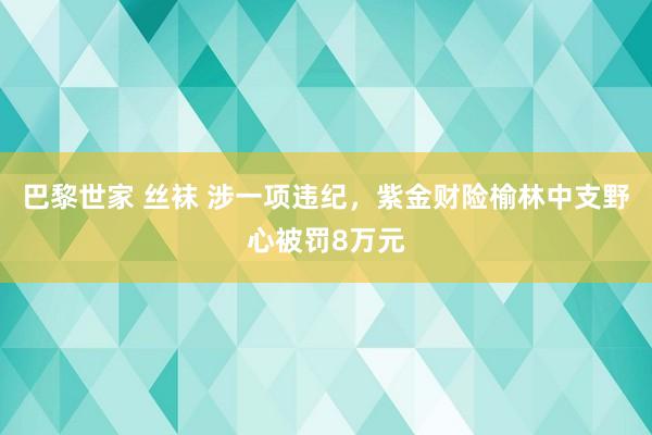 巴黎世家 丝袜 涉一项违纪，紫金财险榆林中支野心被罚8万元