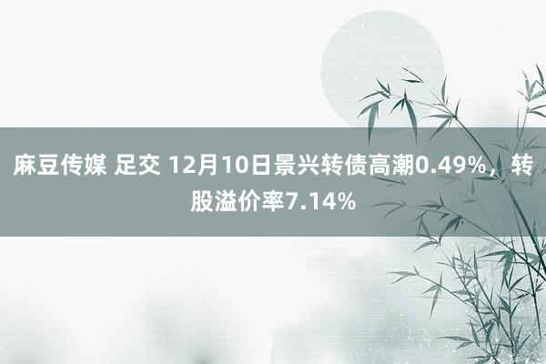 麻豆传媒 足交 12月10日景兴转债高潮0.49%，转股溢价率7.14%