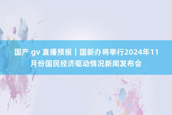 国产 gv 直播预报｜国新办将举行2024年11月份国民经济驱动情况新闻发布会