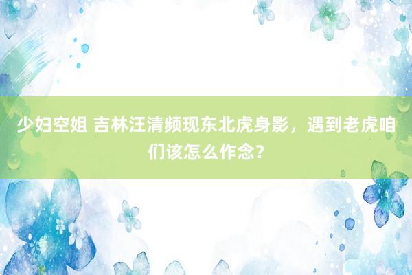 少妇空姐 吉林汪清频现东北虎身影，遇到老虎咱们该怎么作念？